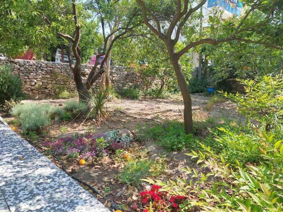 Mel'S Garden House In The Heart Of The City Bodrum ภายนอก รูปภาพ