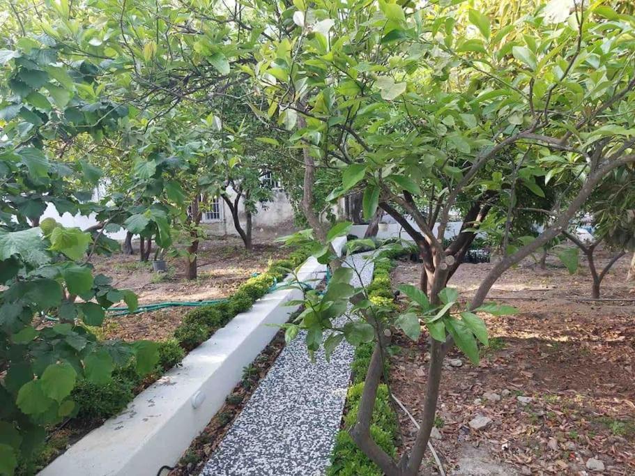 Mel'S Garden House In The Heart Of The City Bodrum ภายนอก รูปภาพ