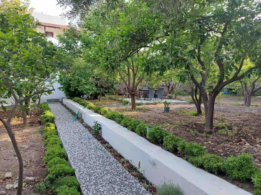 Mel'S Garden House In The Heart Of The City Bodrum ภายนอก รูปภาพ