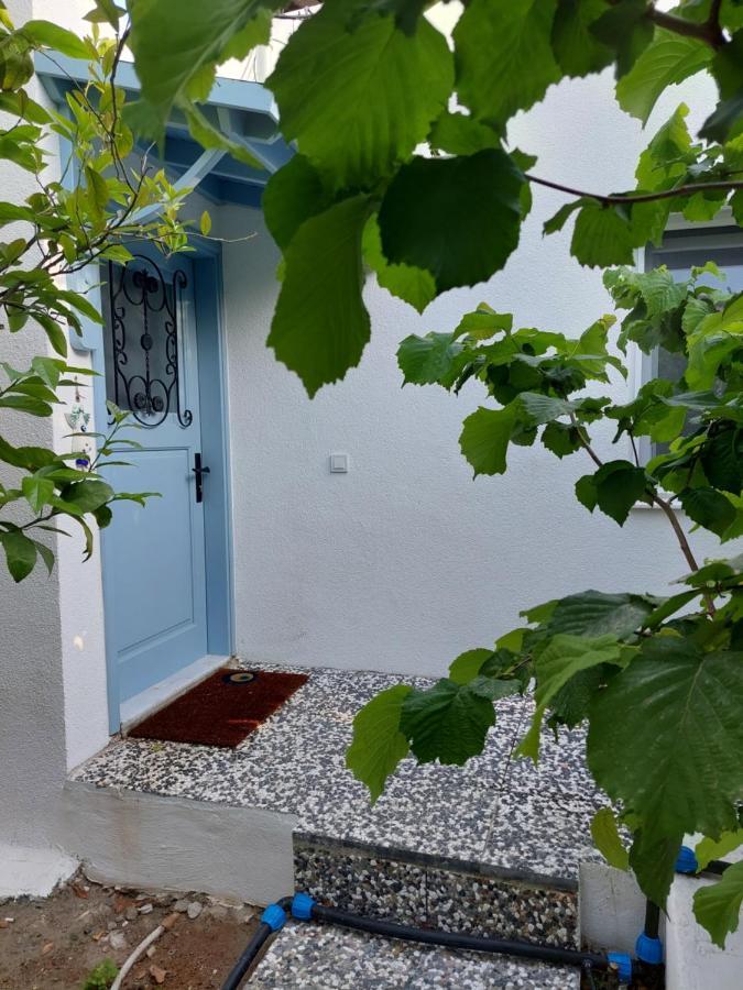 Mel'S Garden House In The Heart Of The City Bodrum ภายนอก รูปภาพ